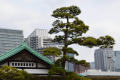 Tokijas: kur senosios tradicijos susitinka su ateities technologijomis