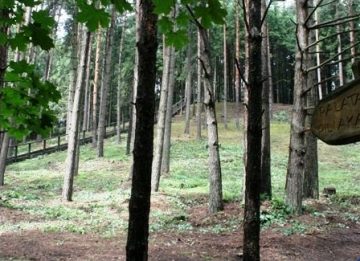 Palatavio piliakalnis. Kendo stovykla Jonavos r.