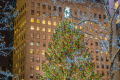 Ikoniškiausios pasaulio Kalėdų eglutės: Niujorkas, Rokfelerio centro Kalėdų eglė