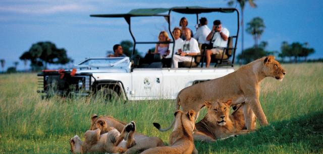 Kelionės šeimai - safaris Afrikoje