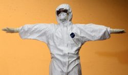 Ebola virusas